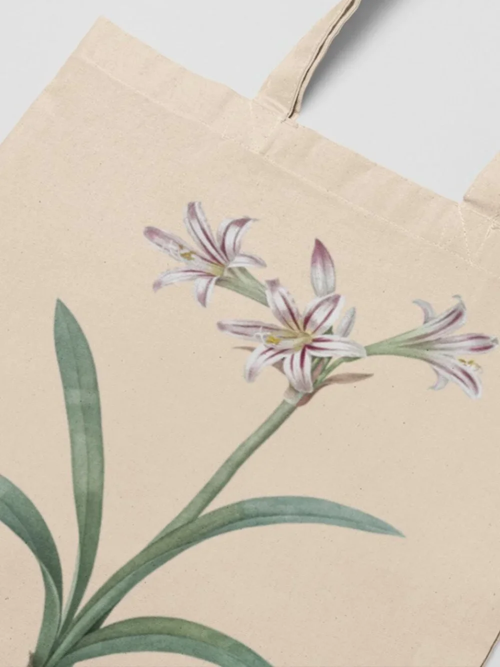 Amaryllis Vintage Floral Print Graphic Canvas Tote Bag